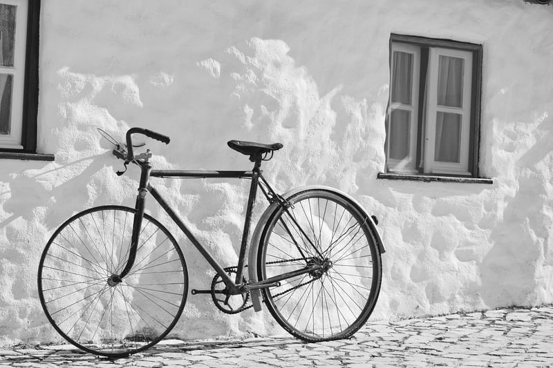 Cycling in Nature